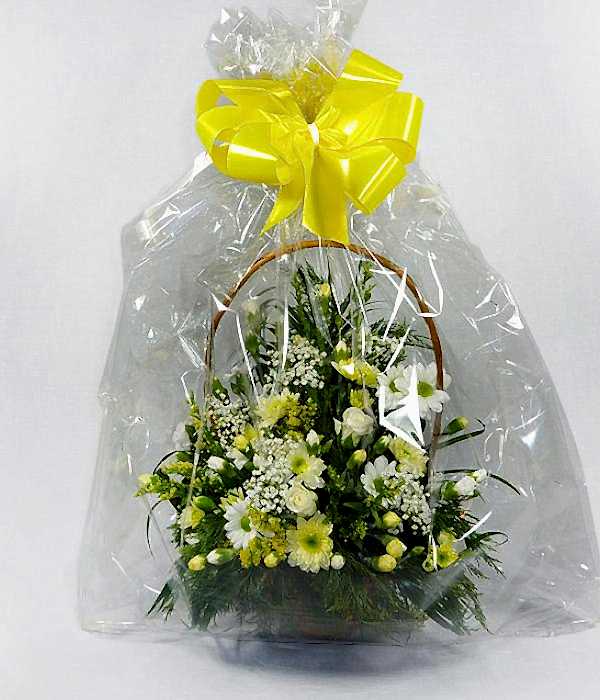 Lemon Pop Basket