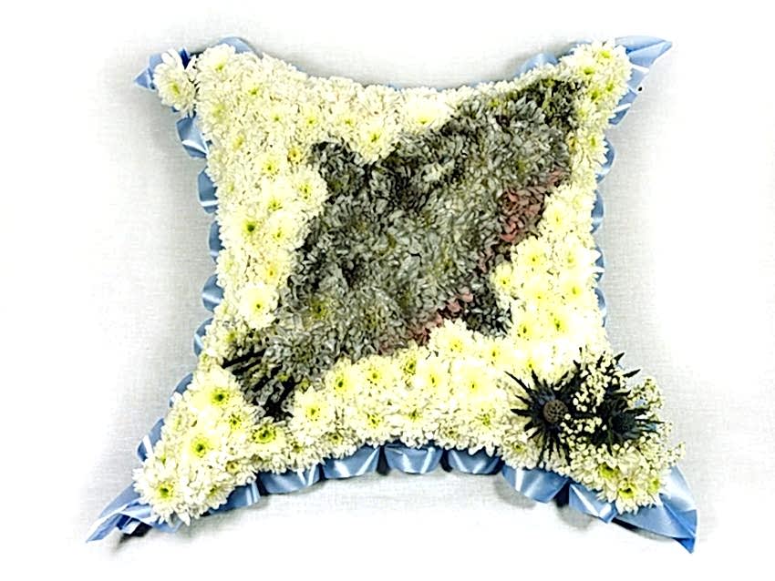 Cushion (with any flat image)