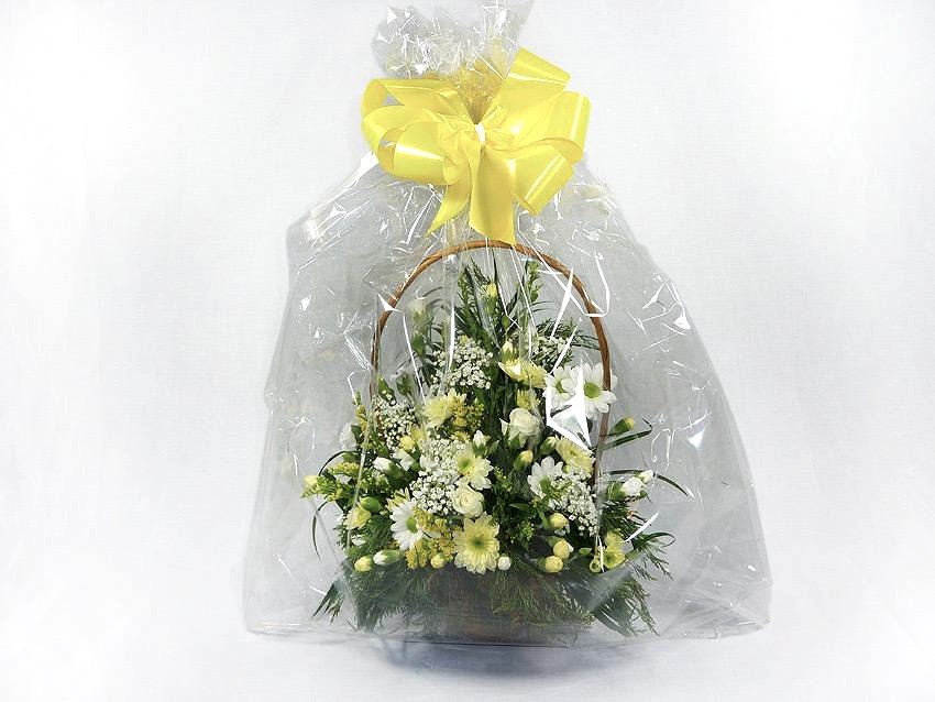 Lemon Pop Basket