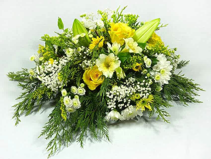 Posy (Yellow & White)